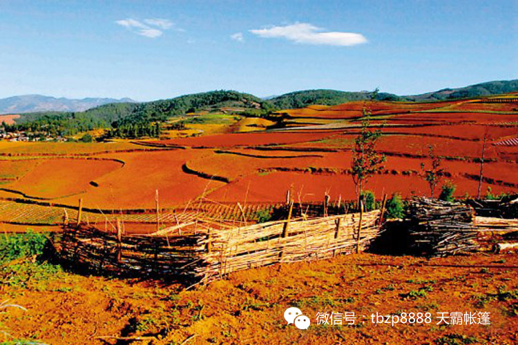 六月美麗的土地，對(duì)的時(shí)間去對(duì)的地方